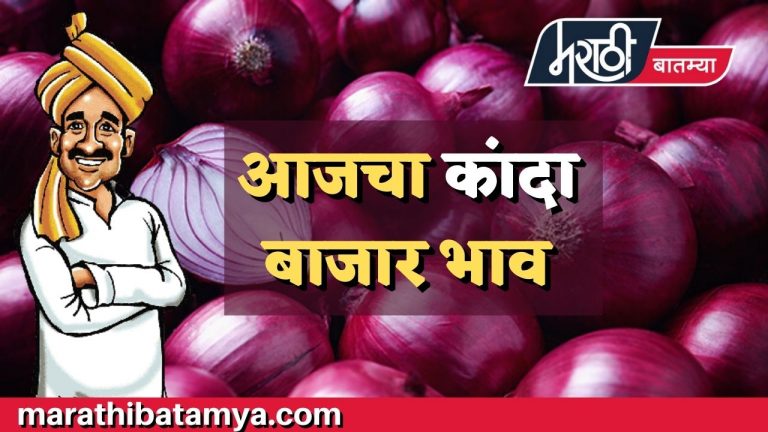 Daily Onion market rates