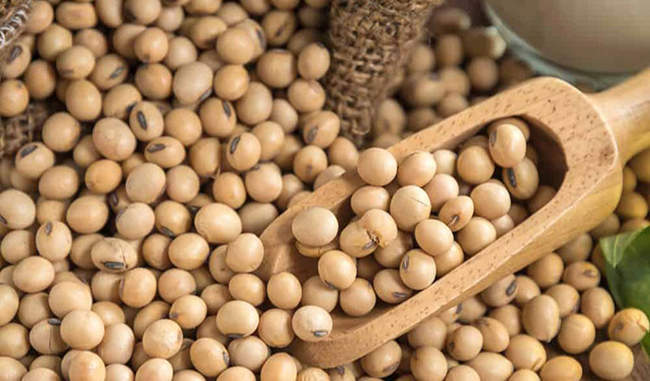 soyabean rate