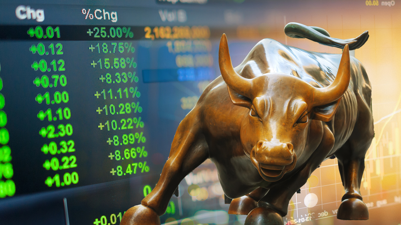 Stock market bull